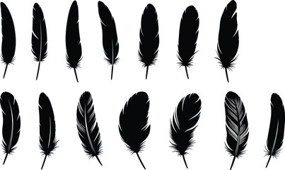 Collection of Realistic Bird Feathers Silhouette Set Isolated on White Background Vector Illustration © Monteza