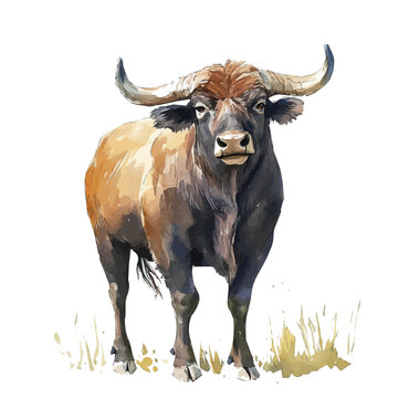 watercolor of Gaur vector isolated on a white background.