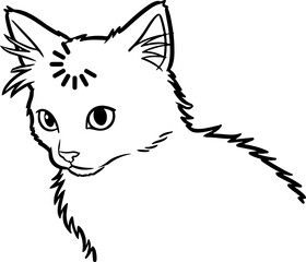 Illustration of a cat with a confused facial expression