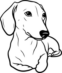 Illustration of a dog on a laying position