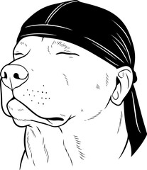 Illustration of a dog wearing a head cap while its eyes are closed