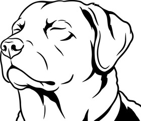 Illustration of a dog with its eyes closed
