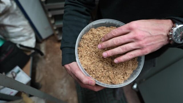 Person holding a container of granules made from sheep wool, showcasing the texture and material in a well-lit indoor setting
