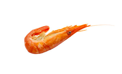 Boiled shrimp on a white background. Prawn isolated.