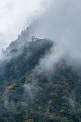 Mystical Autumn Forest Shrouded in Clouds and Mist, Sichuan Mountains, China