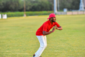 Cricket Player Catching Tennis Ball Action Image for Sports