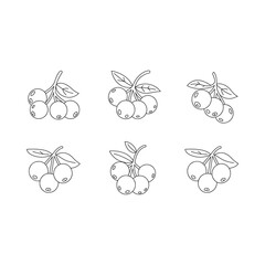Simple line drawing of three clusters of berries with leaves