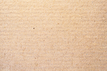 Environmentally Mindful Kraft Displaying Tactile Pulp Design