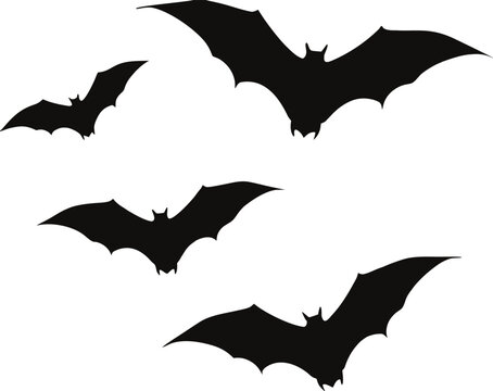 Flying bat silhouettes collection with spooky dark gothic night theme
