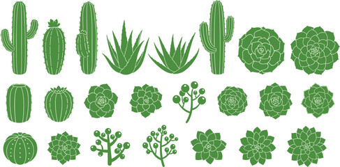Cactus and succulent plants collection desert botanical set aloe agave houseplants flat vector illustration isolated © Rozina Creative