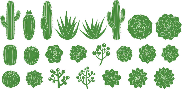 Cactus and succulent plants collection desert botanical set aloe agave houseplants flat vector illustration isolated