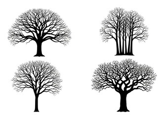 Obraz premium Black Silhouettes of Bare Winter Trees White Background