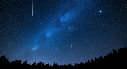 Night sky view with constellations and shooting stars over silhouetted trees