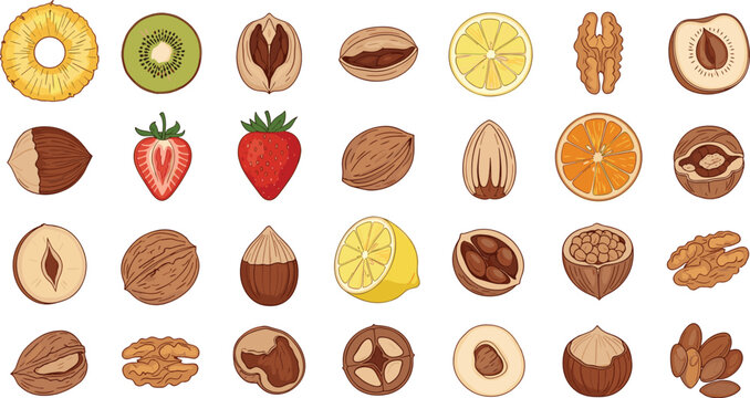 Fruits and nuts watercolor illustration set. Pineapple, kiwi, strawberry, walnut and hazelnut in 5x5 grid layout. Hand drawn food collection isolated on white background.