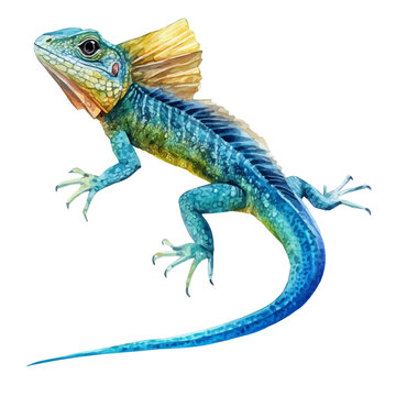 Sailfin Lizard, watercolor illustration, vector, isolated on a white background.