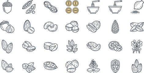 Black and white nuts line art set. Thirty detailed nut and seed illustrations arranged in 6x5 grid. Clean sketch style isolated on light background.