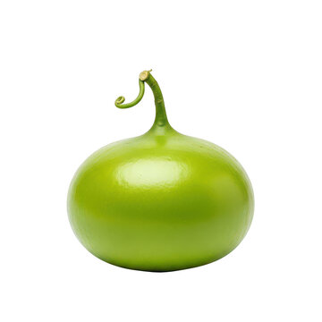 A vibrant glossy green cucamelon fruit with a curly stem isolated on transparent background high quality