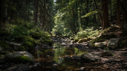 Fototapeta premium Tranquil forest stream flowing through lush green trees and moss-covered rocks, sunlight filtering through dense woodland, serene natural landscape with gentle water movement and peaceful outdoor scen