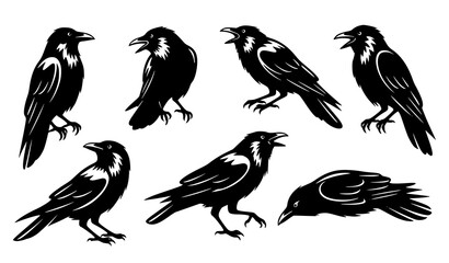 Fototapeta premium Crow silhouette vector bundle in dramatic poses for gothic and nature designs