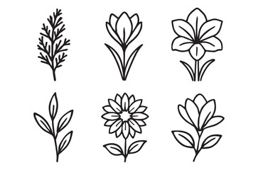 Obraz premium A collection of six distinct floral line drawings showcasing various blossom shapes and foliage