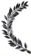 Obraz premium Elegant dark green leaf branch curving on a white background