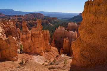 Bryce Canyon,&nbsp;Utah, USA - October 21, 2025 - Vast orange hoodoos and canyons under a clear blue sky in Bryce Canyon National Park