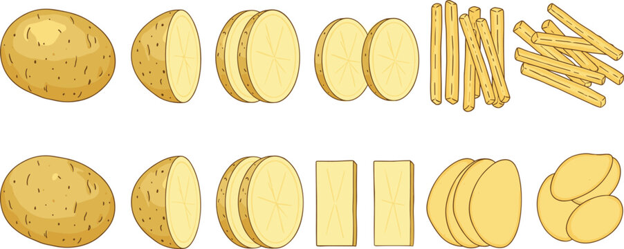 Fresh potato vector set featuring whole raw potatoes sliced rounds potato chips and french fries for cooking recipes snack packaging and restaurant menu illustrations