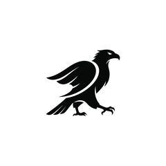 Fototapeta premium A black bird in flight with sharp talons, silhouetted against a simple white background