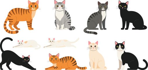 Colorful cat character collection featuring various feline breeds and poses including ginger tabby grey striped black and bicolor cats for pet vector. © MstRumi