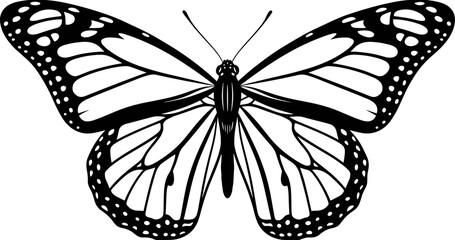 Detailed black and white line art vector illustration of a beautiful monarch butterfly with open wings isolated on white. © Fuad Creatives 