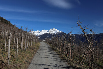 Obraz premium Landschaft