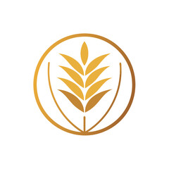 Golden wheat ear and open book symbol isolated on white background