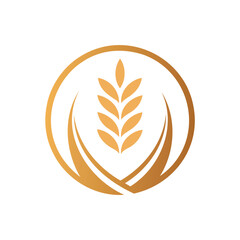 Golden wheat ear and open book symbol isolated on white background