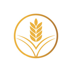 Golden wheat ear and open book symbol isolated on white background