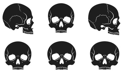 Obraz premium Human Skull Anatomy Vector Set with Front and Side Profile Silhouettes