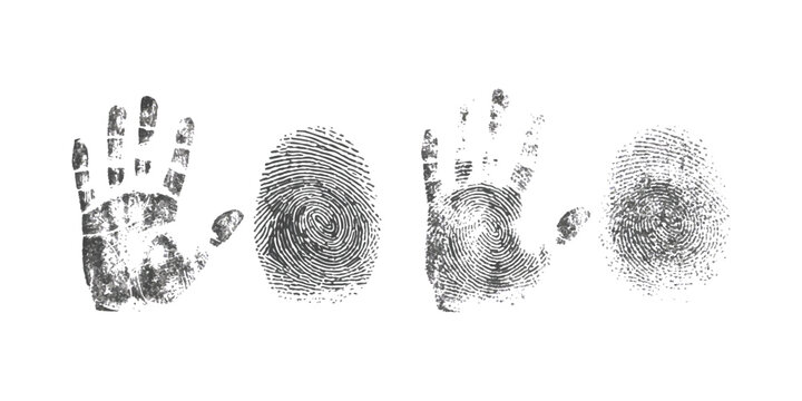 A set of black and white handprints and fingerprints on a white background, suggesting forensic identification.