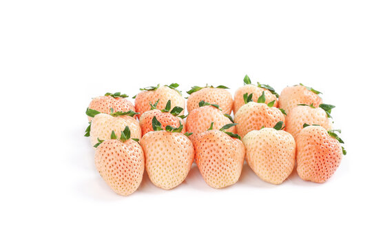 Fresh White Cream Strawberries Sweet Juicy Light Colored Fruit on White Background