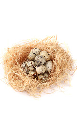 Obraz premium Fresh Quail Eggs in Straw Nest - Raw Protein Rich Delicious Farm Ingredient