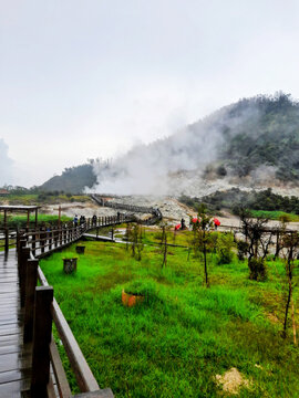 Wet wooden boardwalk through lush greenery in Dieng Plateau, Indonesia.