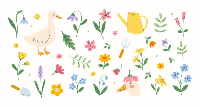 Cute garden spring flower set with flowers and ducks