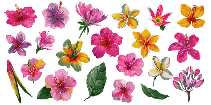 Vibrant watercolor tropical flowers collection diverse exotic blooms isolated for floral design projects isolated on transparent background