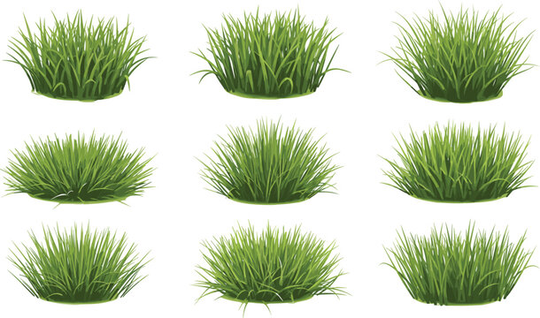 Realistic green grass bush tuft collection with different lawn plants isolated natural vector illustration set.