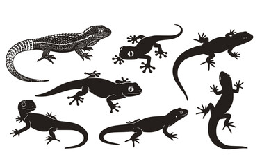Obraz premium Halftone Hand Drawn Lizard Silhouette Reptile Gecko Set 8 Black Shape Profile Outline-Amphibian Creature Form Vector Set