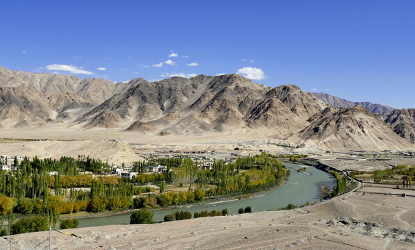 Indus river in Ladakh, with treelined riverbanks and cold mountain desert landscape near leh, in the Himalaya in Autumn