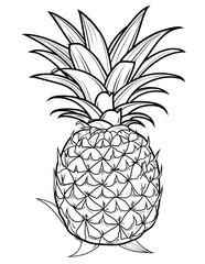 exotic fruits coloring pages, tropical fruit coloring pages, fruit coloring book, printable fruit coloring, kids coloring pages fruit, adult coloring fruit