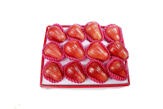 Fresh Red Wax Apples in Gift Box - Premium Tropical Fruit Packaging