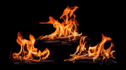 Bright flames flicker and swirl against a black background, illuminating the surrounding darkness. The fire burns steadily, creating an inviting atmosphere perfect for cozy gatherings.