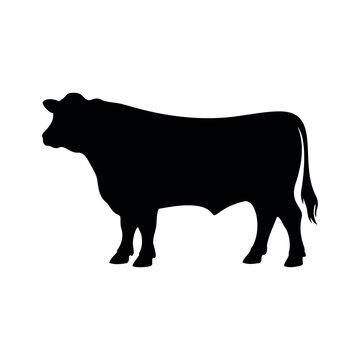 Black angus cattle silhouette vector flat design isolated on white background.