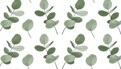 Obraz premium Pattern of eucalyptus branches with green leaves on white background, botanical illustration, natural design