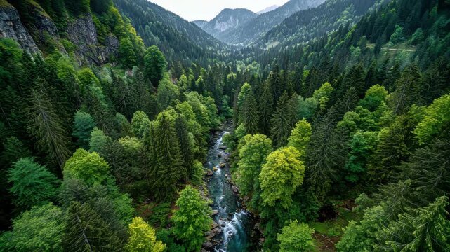 A captivating view reveals a winding river meandering through dense greenery and towering trees in a mountainous region. Nature flourishes under the sun, creating a tranquil atmosphere.